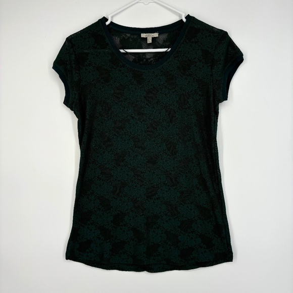 Zara Trafaluc Womens Small XS Stretch Lace T-Shirt Green Floral Sheer Short Slv - Picture 1 of 8